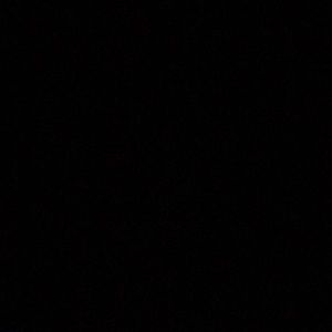 Meet your Posher, Moises